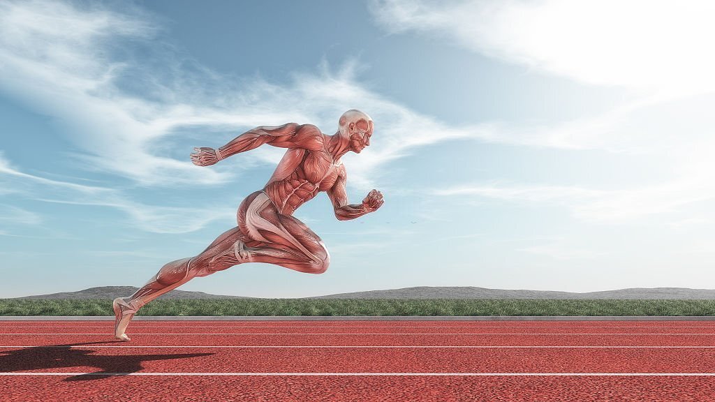 Corso di anatomia palpatoria a Cagliari