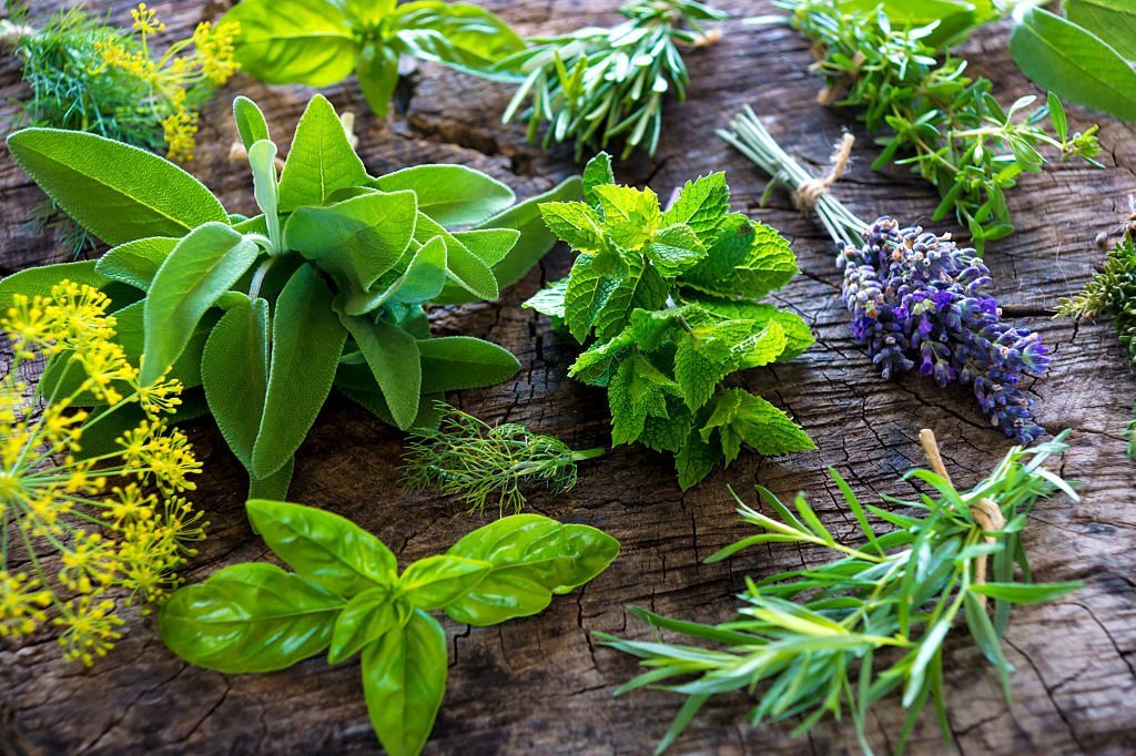 Corso Ayurveda a Cosenza: la natura che si esprime