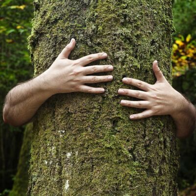  Corso Ayurveda a Matera: la natura che si esprime