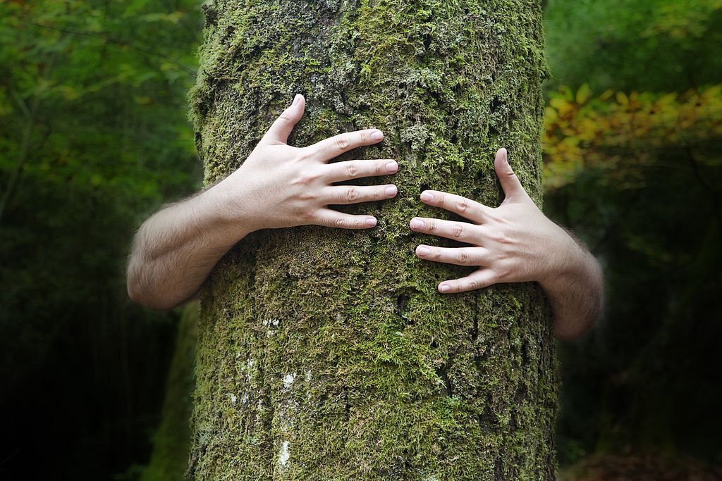 Corso di riflessologia plantare elemento legno a Milano