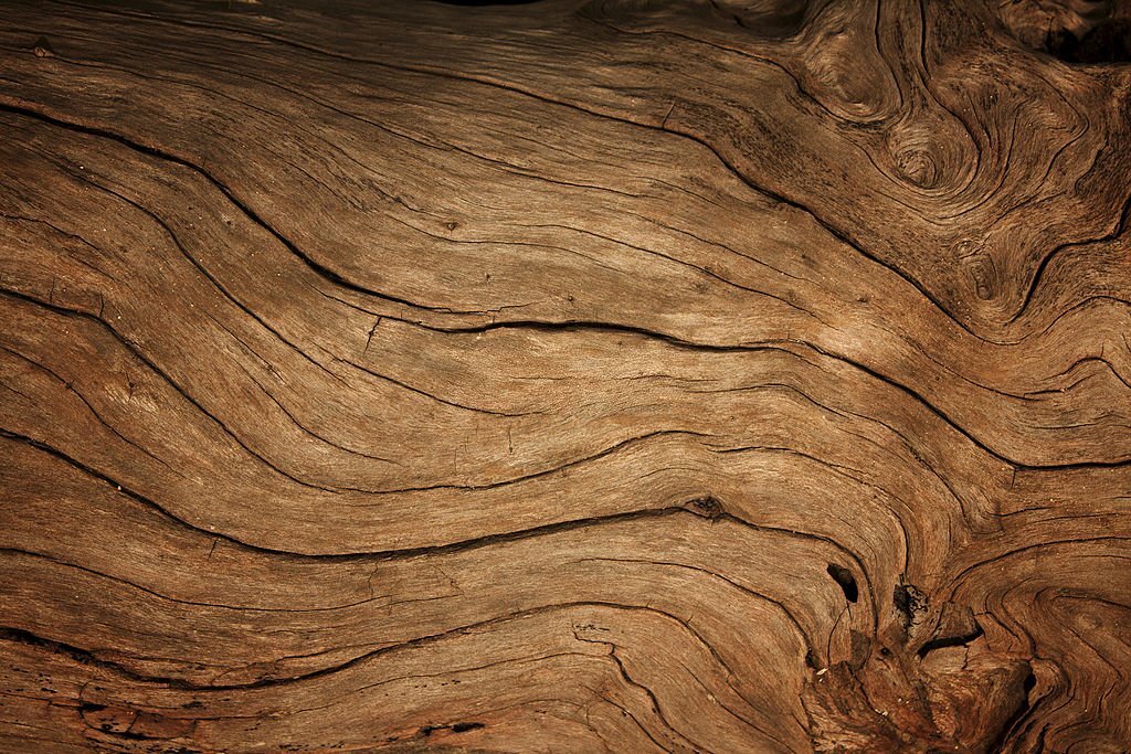 Corso di riflessologia plantare elemento legno a Napoli