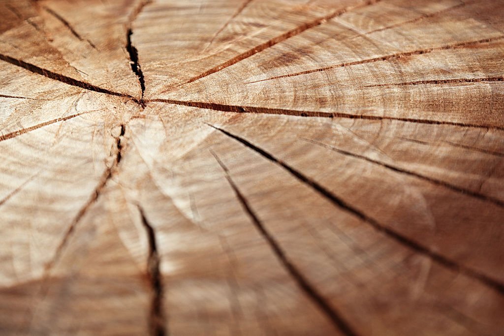 Il corso di riflessologia plantare elemento legno a Torino