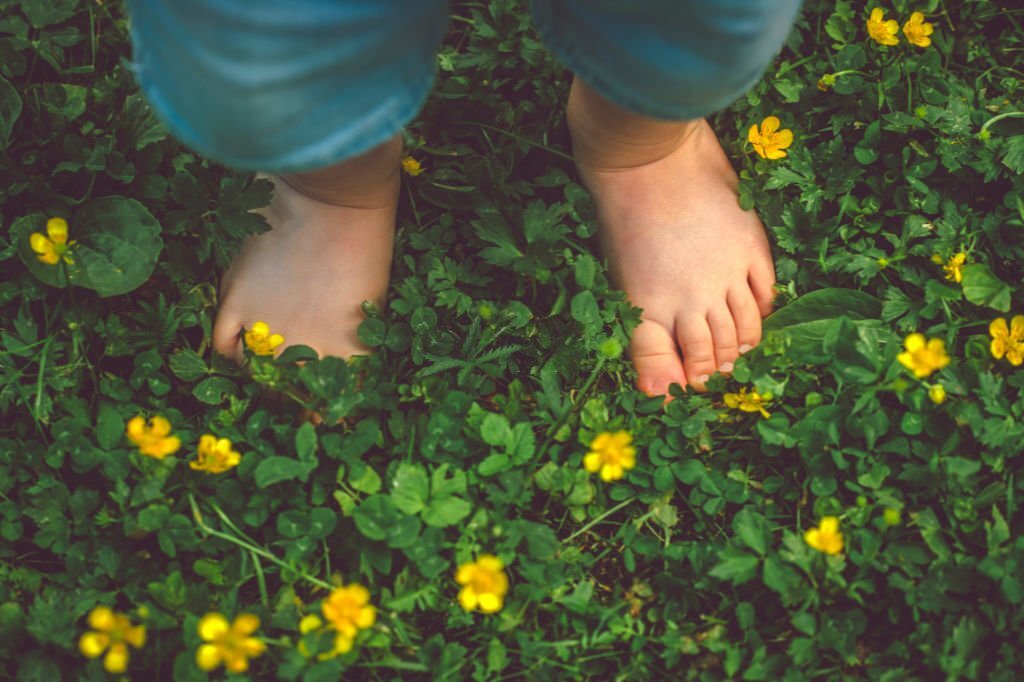 Corso di riflessologia plantare elemento terra ad Anzio/Nettuno