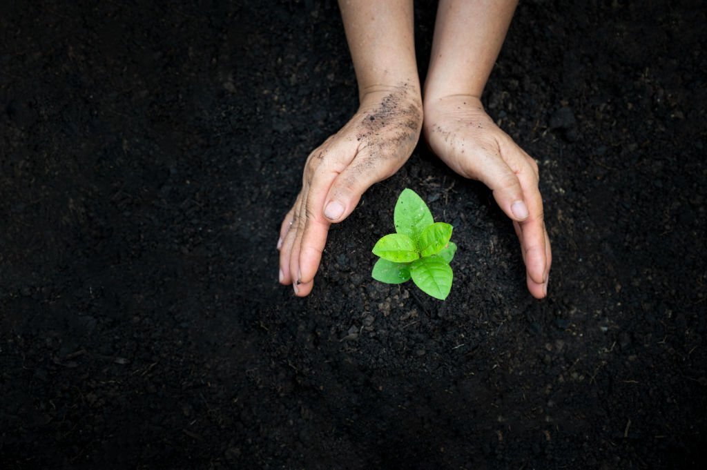 Corso di riflessologia plantare elemento terra a Milano