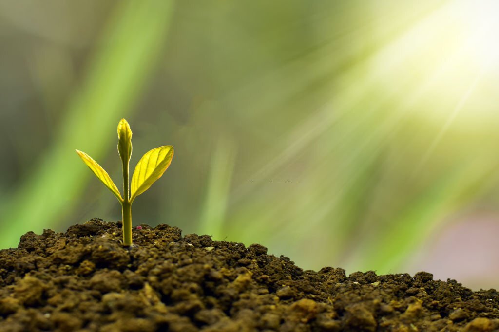 Corso di riflessologia plantare elemento terra a Napoli