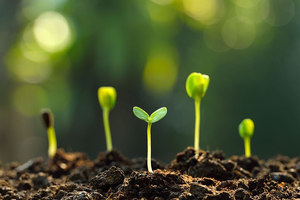 Corso di riflessologia plantare elemento terra a Palermo