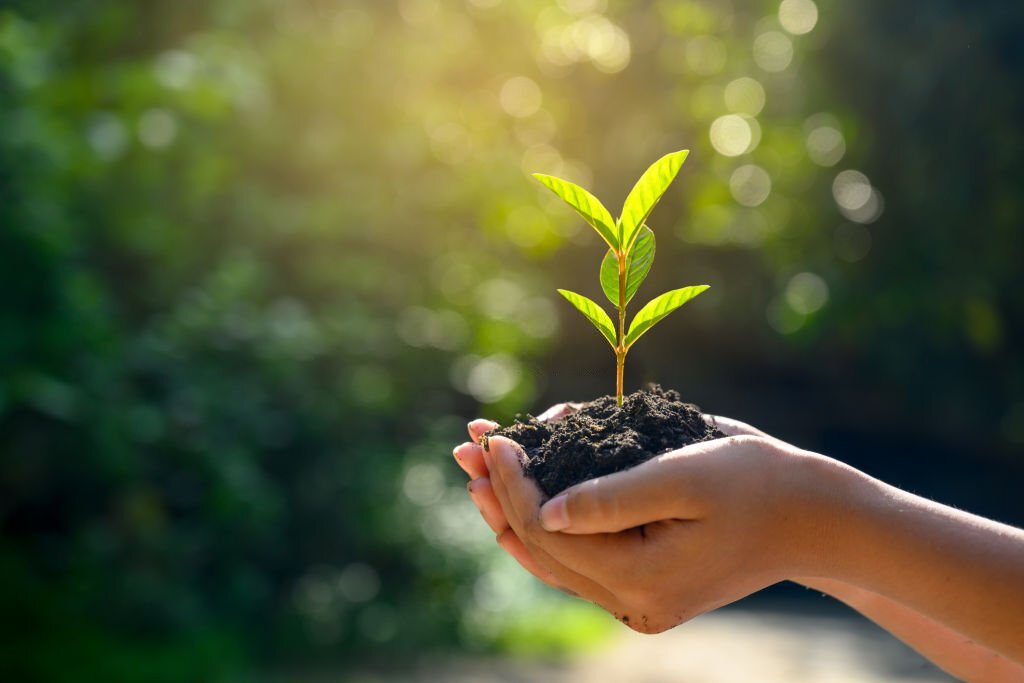 Corso di riflessologia plantare elemento terra a Sassari