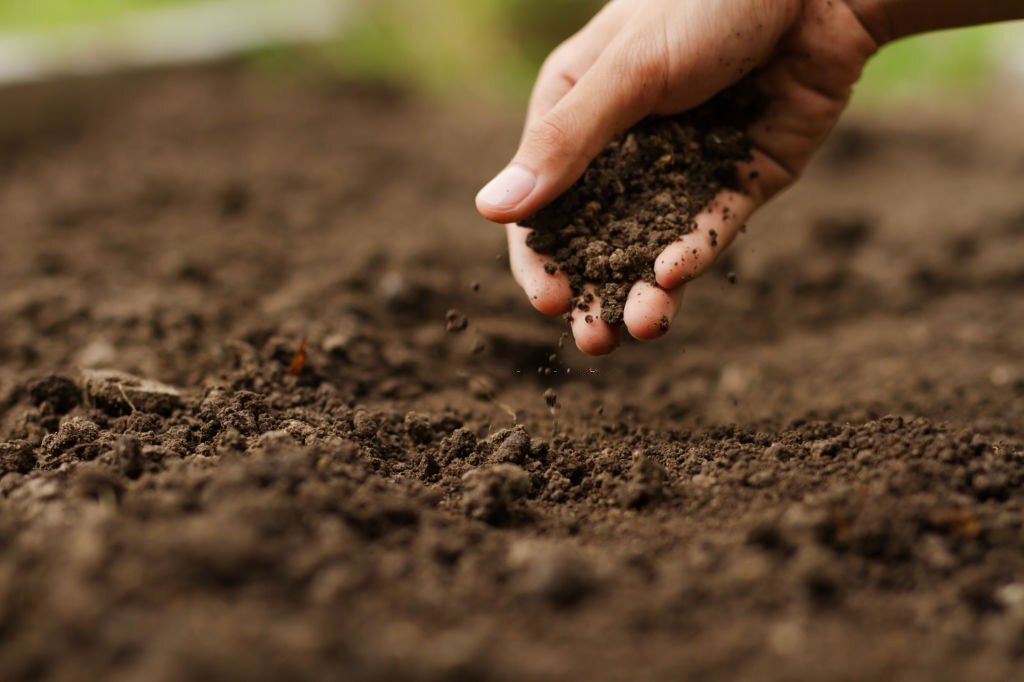 Corso di riflessologia plantare elemento terra a Treviso